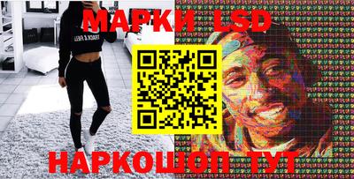 гидропоника Краснознаменск