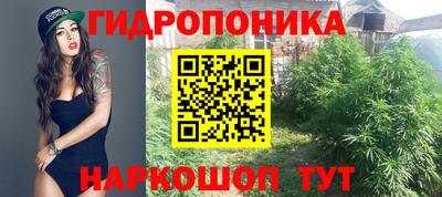 гидропоника Краснознаменск