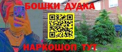гидропоника Краснознаменск