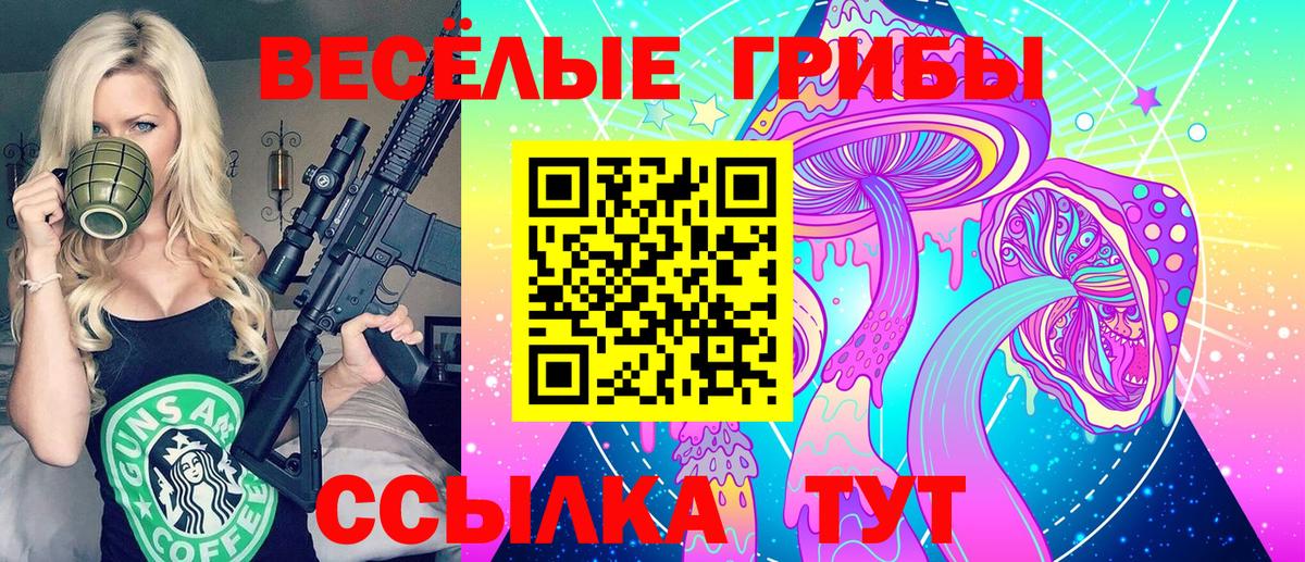 Псилоцибиновые грибы MAGIC MUSHROOMS  Вход с VPN  Каменск-Уральский  продажа наркотиков  Галлюциногенные грибы прущие грибы 