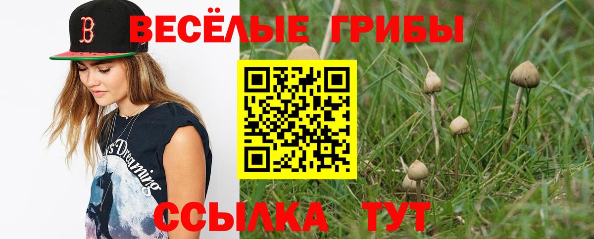 Псилоцибиновые грибы мицелий Каменск-Уральский